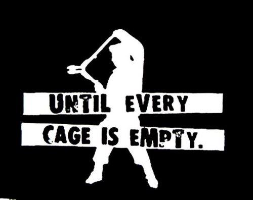 for-empty-cages